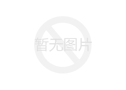 挡墙石笼网