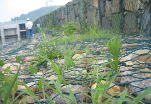 生态雷诺护垫